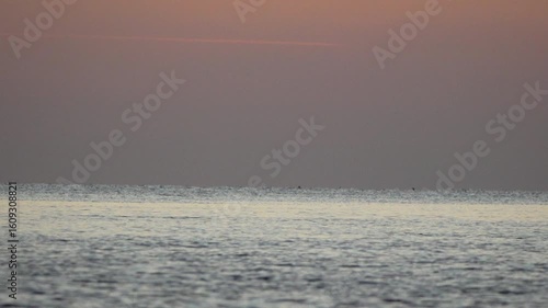 Dolphin Ocean Sunset - A dolphin swims in the ocean at sunset.