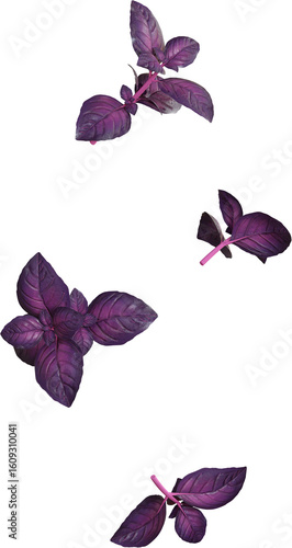 Flying Basil Leaves