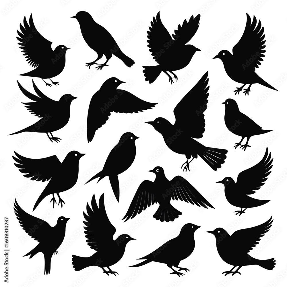 Fototapeta premium Thirteen diverse black bird silhouettes collection