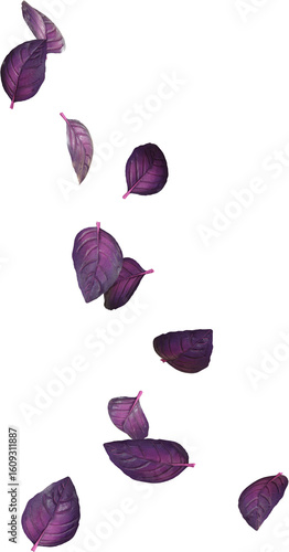 Floating Basil Leaves