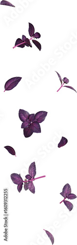 Floating Basil Leaves