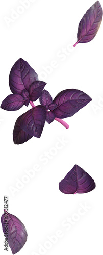 Floating Basil Leaves