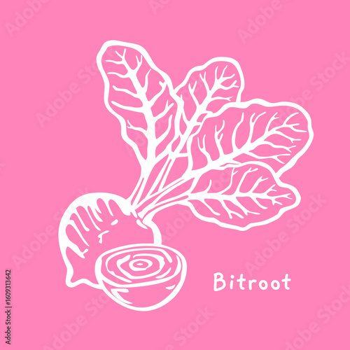 Beetroot hand drawn vector, for organic packaging design