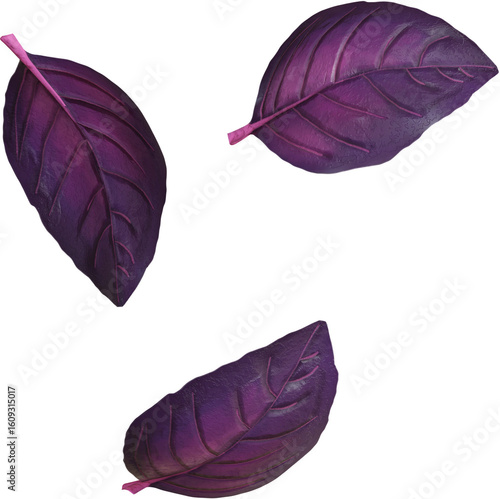 Falling Purple Basil