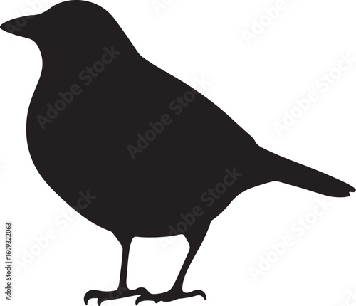 Dove of Peace Silhouette with Olive Branch"