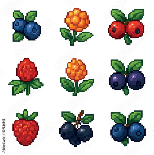 Forest Berry Icons