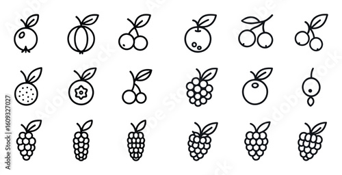 Minimalist Berry Icons