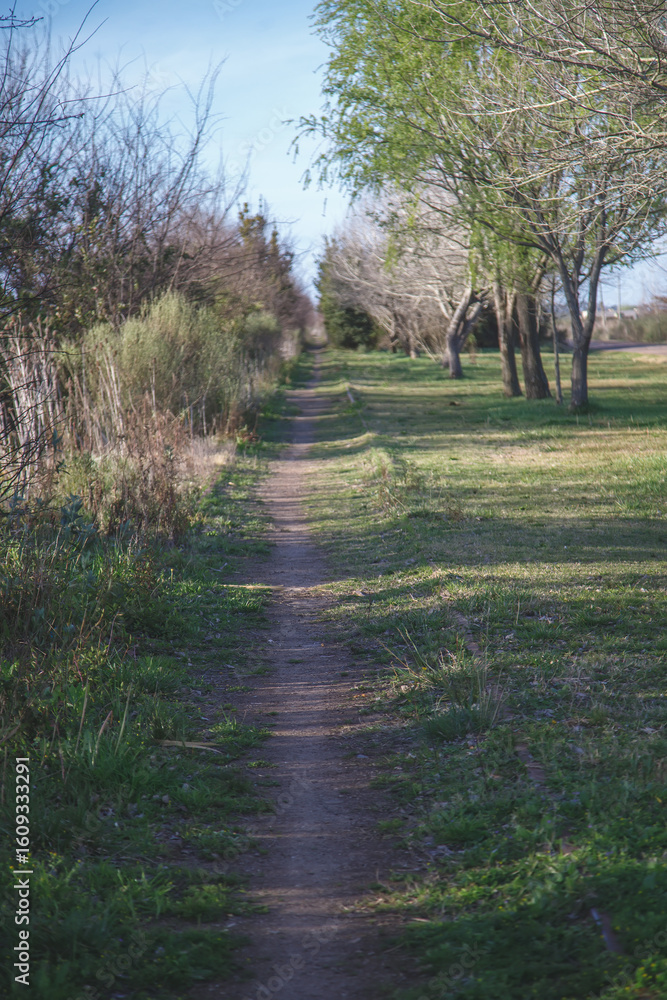 Obraz premium path in the park