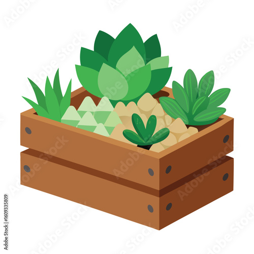 Charming illustration of a succulent garden nestled within a rustic wooden crate adorned with decorative stones