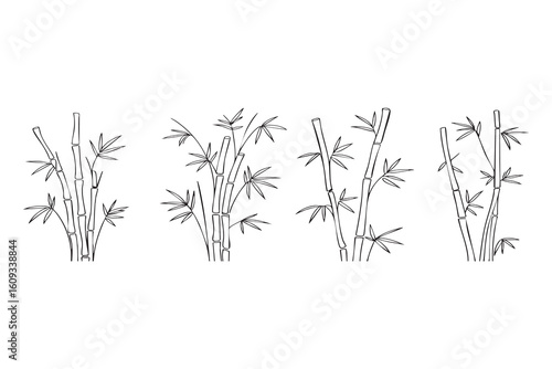 Delicate bamboo stalks with detailed leaves in a minimalist line art style branches nature