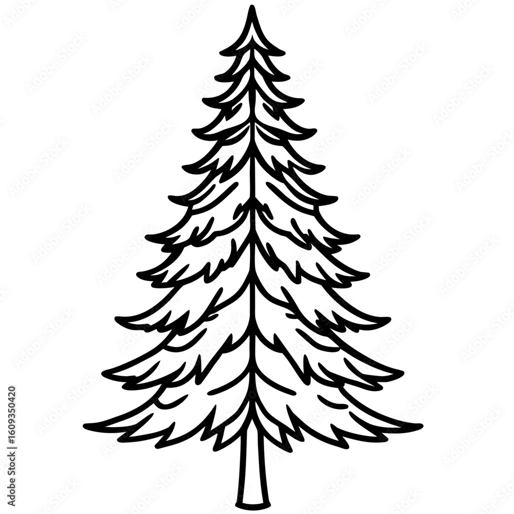 Obraz premium Single Evergreen Outline – Clean Vector