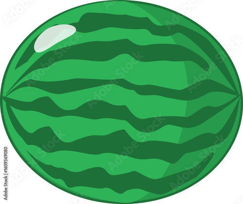 Outlined vector illustration of a Watermelon.
