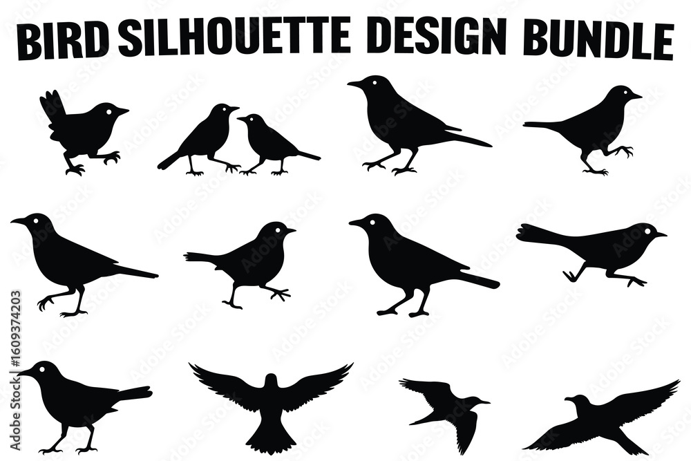 Fototapeta premium Soaring Bird Silhouette Collection for Print and Cut Files