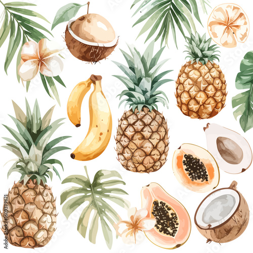 Watercolor illustration of tropical fruits including pineapple, coconut, banana, papaya, and exotic leaves.