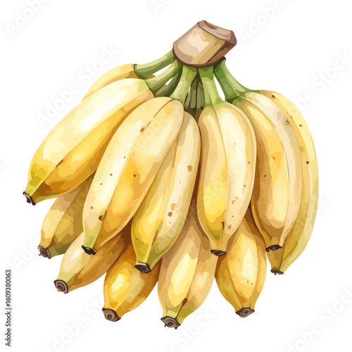 A detailed watercolor illustration of a ripe bunch of yellow bananas with brown sugar spots, hanging from a green and brown stem.