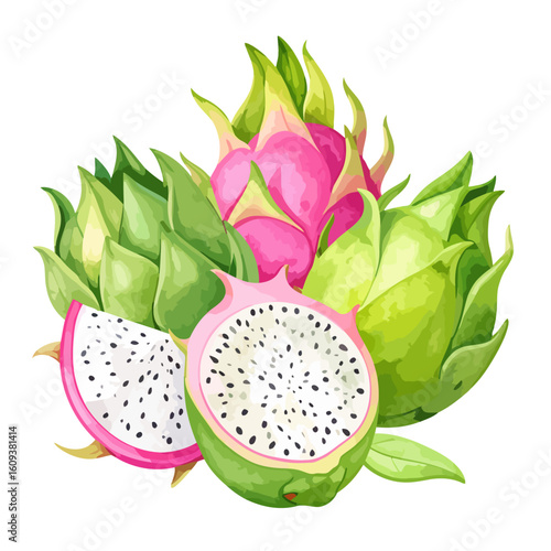 Stylized illustration of exotic dragon fruit, whole and sliced, with vibrant pink and green skin and seeded white flesh.