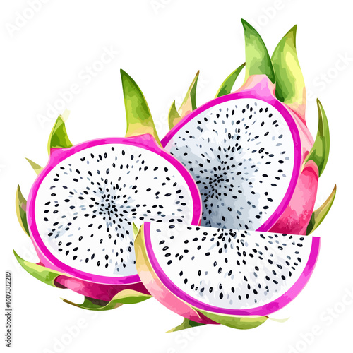 Vibrant Watercolor Slices of Dragon Fruit with Seeds