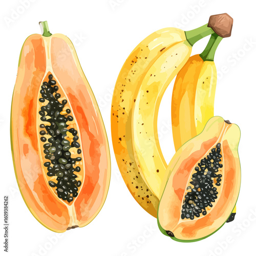 Watercolor Style Papaya Halves and Yellow Bananas Illustration