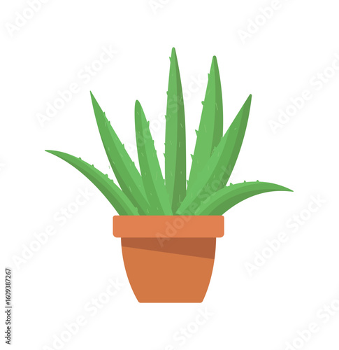 A vibrant vector illustration of an aloe vera plant in a simple terracotta pot on an isolated background. The succulent's distinctive green, fleshy leaves with subtle spines are depicted in a clean, f