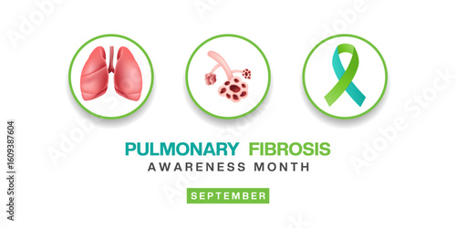 September is Pulmonary Fibrosis Awareness Month. Lung, pulmonary fibrosis and ribbon. Great for posters, banners and social media. White background. 