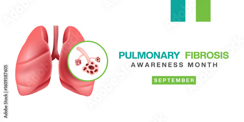September is Pulmonary Fibrosis Awareness Month. Lung and pulmonary fibrosis. Great for posters, banners and social media. White background. 