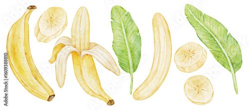 Complete watercolor set of banana-themed elements: whole bananas, peeled banana, slices, and banana leaves. Hand-painted and arranged for use in branding, packaging, tropical designs, or  healthy food