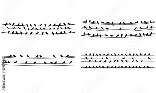 Silhouette of birds perched on electric wires in peaceful and minimalist scene
