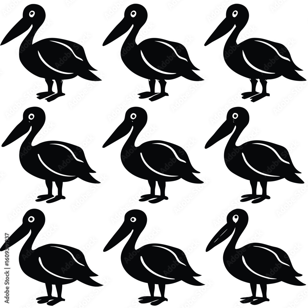 Obraz premium Black and White Pelican Bird Set