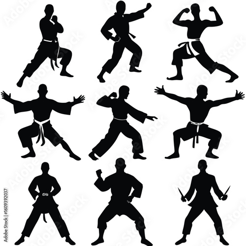 Martial Arts Poses - Karate & Taekwondo Silhouettes
