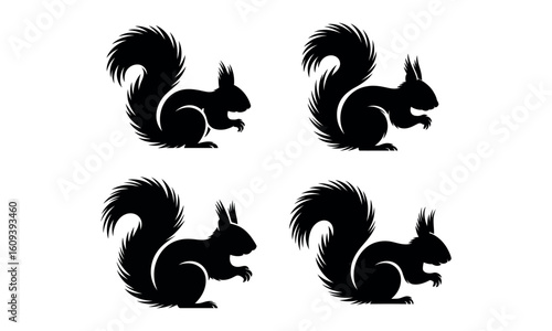 Silhouette illustration of squirrels in various poses with bushy tails on white background
