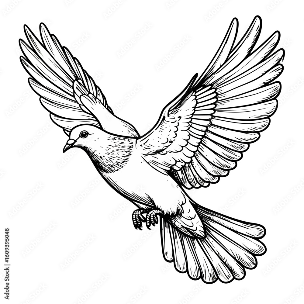 Obraz premium Detailed black and white illustration of a dove in flight with outstretched wings.
