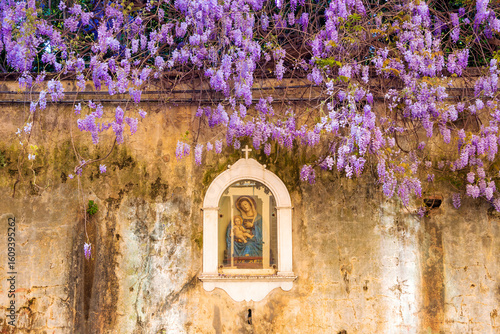 a tabernacle frame with blossoming wisteria in Florence