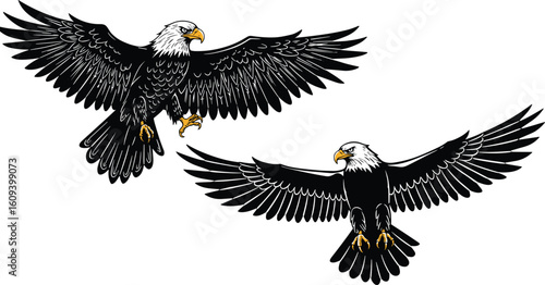 Bald eagle flying illustration, eagle with spread wings, detailed eagle drawing, American eagle vector, bird of prey clipart, majestic eagle art