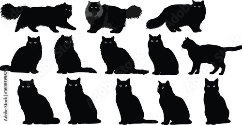 Black cat silhouette, long hair cat clipart, Persian cat vector, fluffy cat outline, Halloween cat design, feline graphic icon