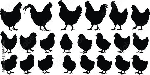 Chicken and chick silhouette vector set, hen and rooster clipart, poultry farm animal icons, black chicken shapes collection