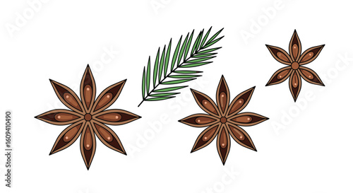 Fragrant star anise and pine sprigs arrangement for culinary and aromatic uses