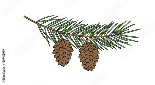 A pine branch adorned with two delicate pinecones in natural setting