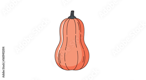 Butternut squash a beautiful autumnal vegetable for healthy eating and delicious meals