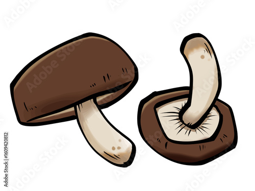 筆 シイタケ キノコ 食品 秋の味覚