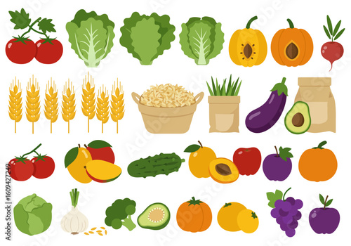 Assorted crops tomatoes lettuce wheat rice mangoes avocados garlic grapes