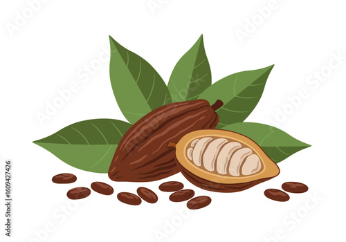 Cacao pods leaves and beans are displayed in a cocoa illustration