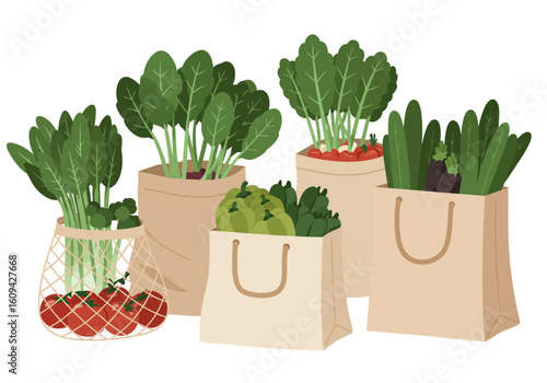 Five bags of fresh produce filled with various vegetables are displayed on a white background