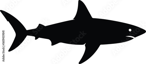Silhouette shark isolated aquatic sea animal profile vector illustrator