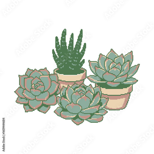 A charming pixel art collection of various succulent plants in simple terracotta pots.