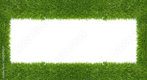 green grass frame