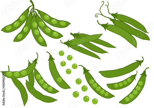 Green pea pods and loose peas arranged on a white background various clusters and forms are depicted