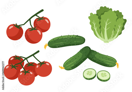 Illustration showing tomatoes on vines cucumbers and slices and a lettuce