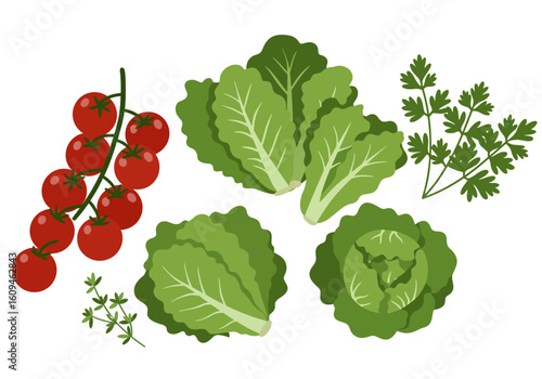 Vegetables tomatoes lettuce parsley cabbage and thyme