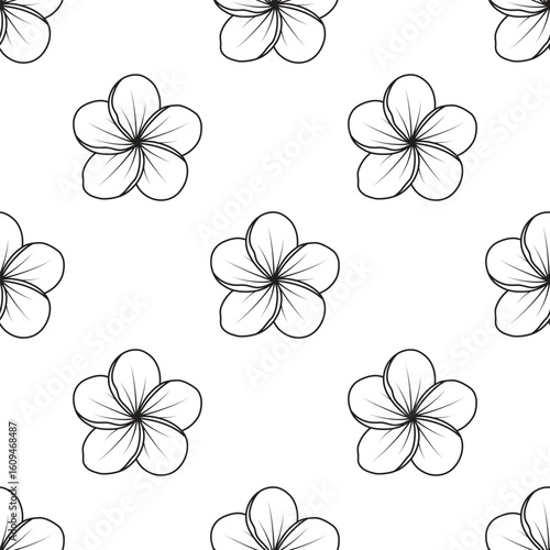 plumeria flower pattern in outline