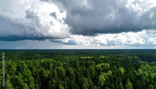 Aerial view of dense forest under stormy clouds